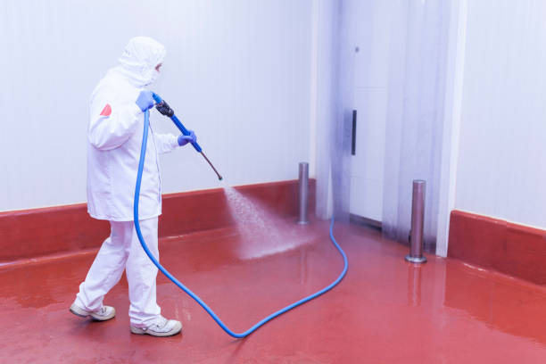 Best Spring Cleaning  in Wallace, FL