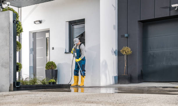 Best Boat and Dock Cleaning  in Wallace, FL
